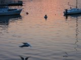 lago di Lecco